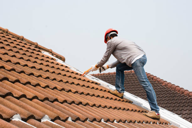 Reliable Apison, TN  Roofing repair and installation Solutions
