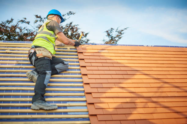 Best Roof Leak Repair  in Apison, TN