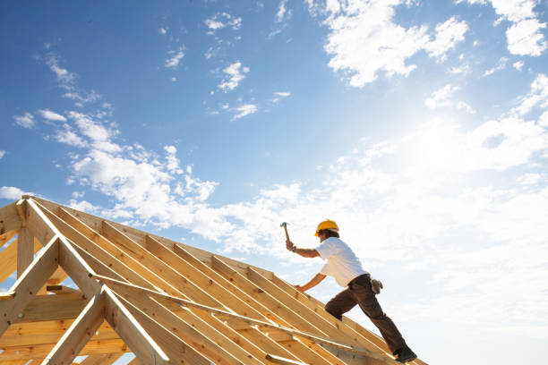 Best Storm Damage Roof Repair  in Apison, TN